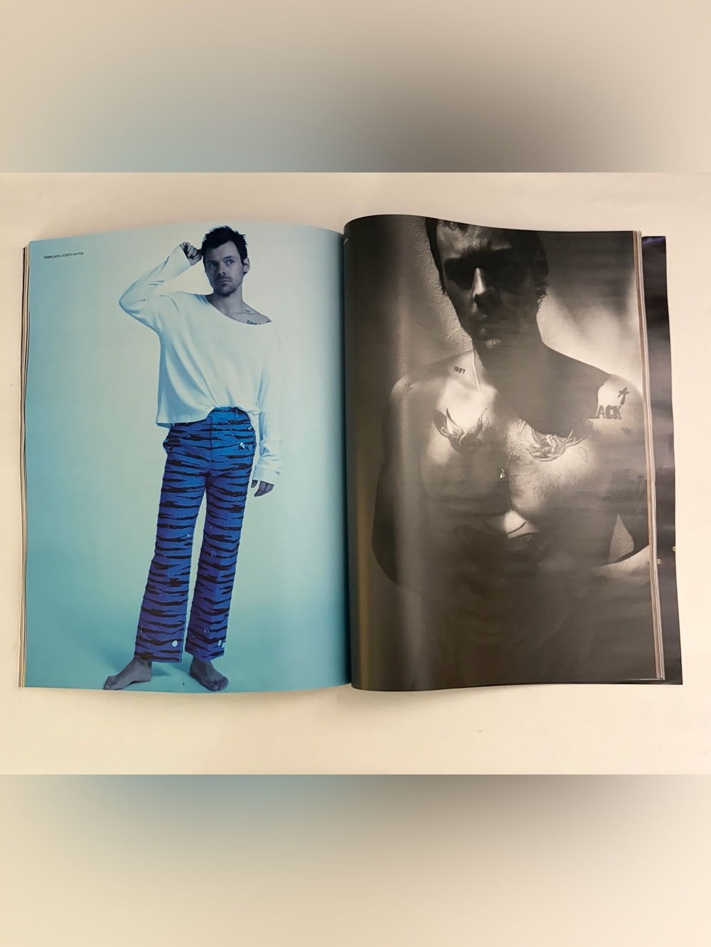 W Harry Styles Fashion “30 Page Portfolio Pop’s Electrifying Star” Volume 4 Mag - Picture 5 of 15